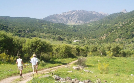 Fantástica ubicación para caminar